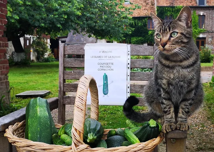 Les Jardins De Felicie