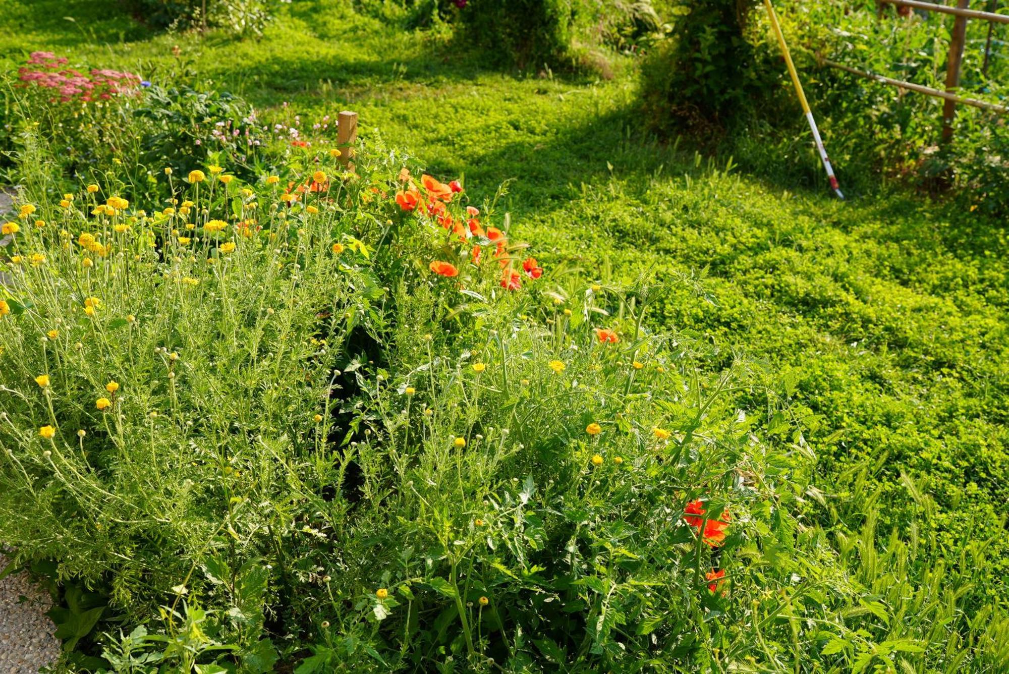 Vakantiehuis Les Jardins De Felicie
